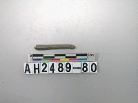 藏品(磨製石針)的圖片